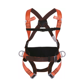 DELTAPLUS, 4PT FULL BODY HARNESS HAR14 GT